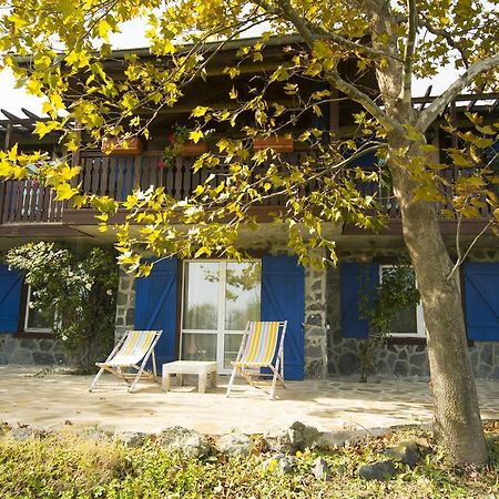 Art Provence House Villa Lozeneț Exterior foto
